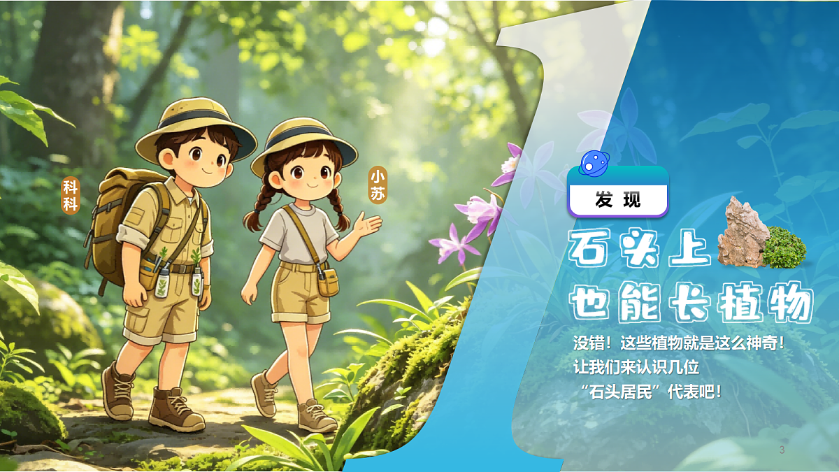 18326696第3页