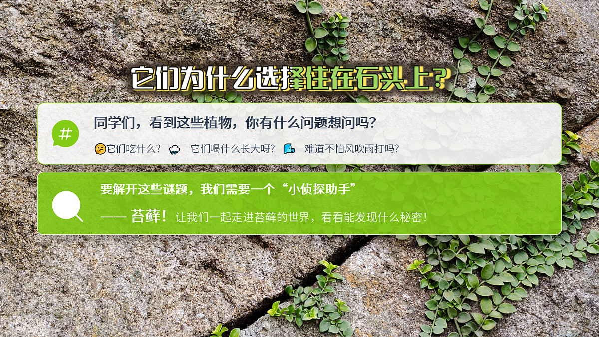 18326696第8页