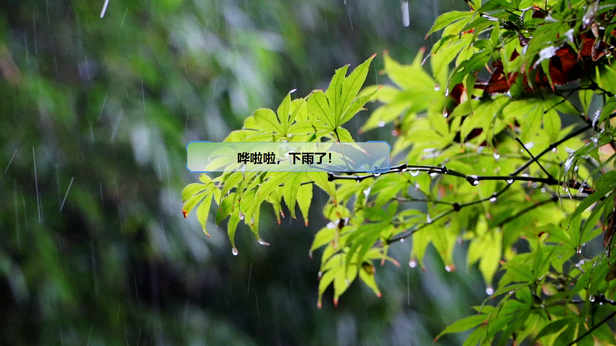 18326699第6页