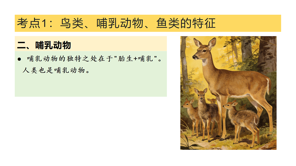 18326783第7页