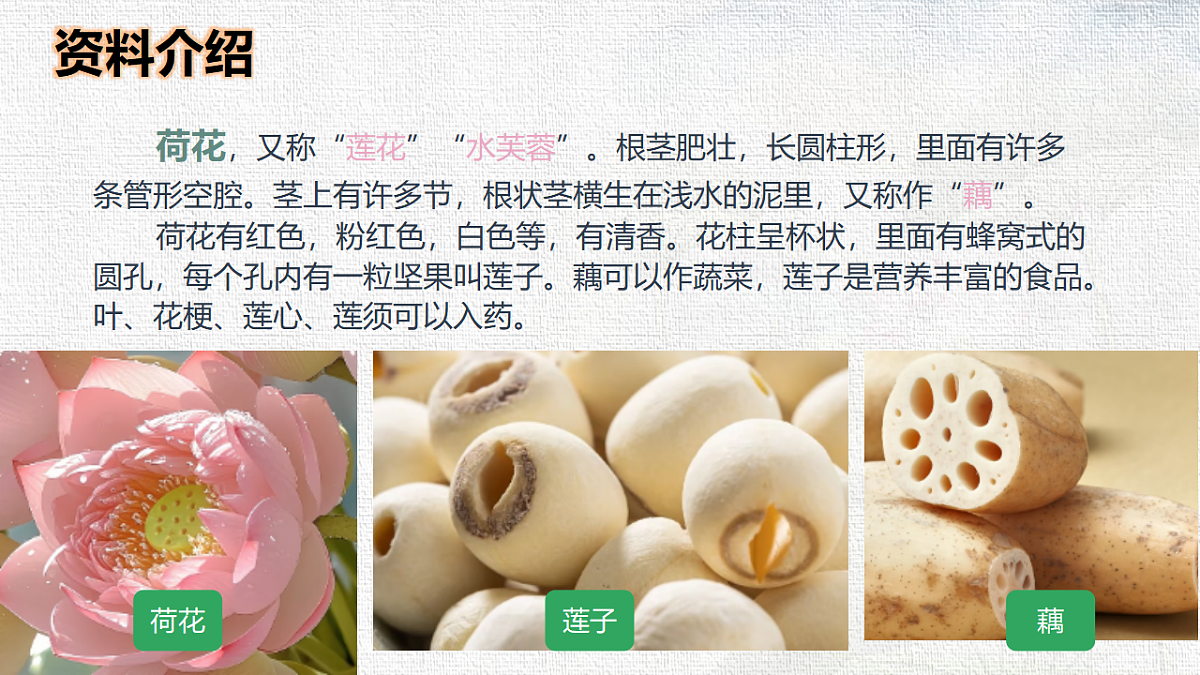18327159第4页