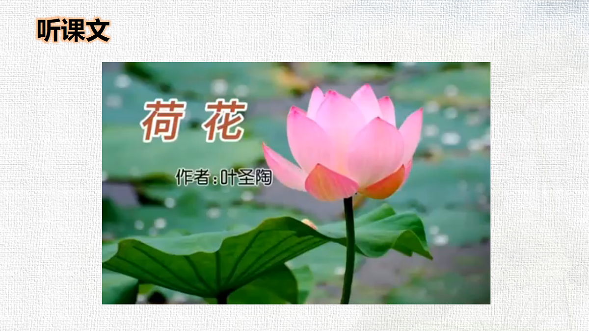 18327159第8页