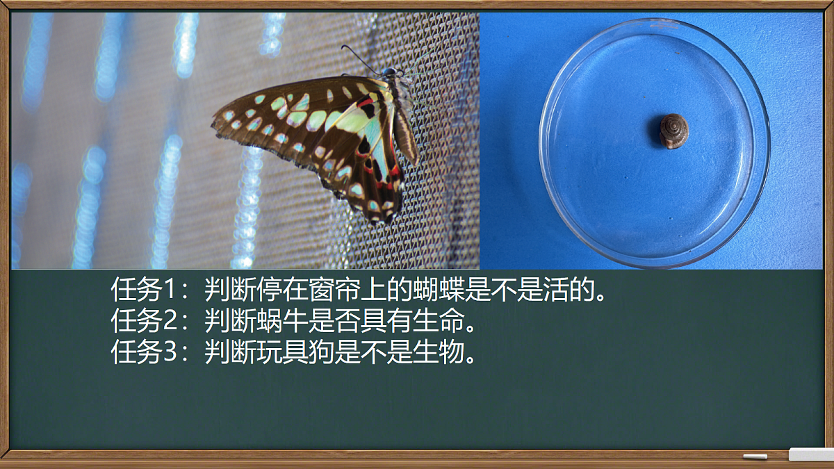 18327185第2页