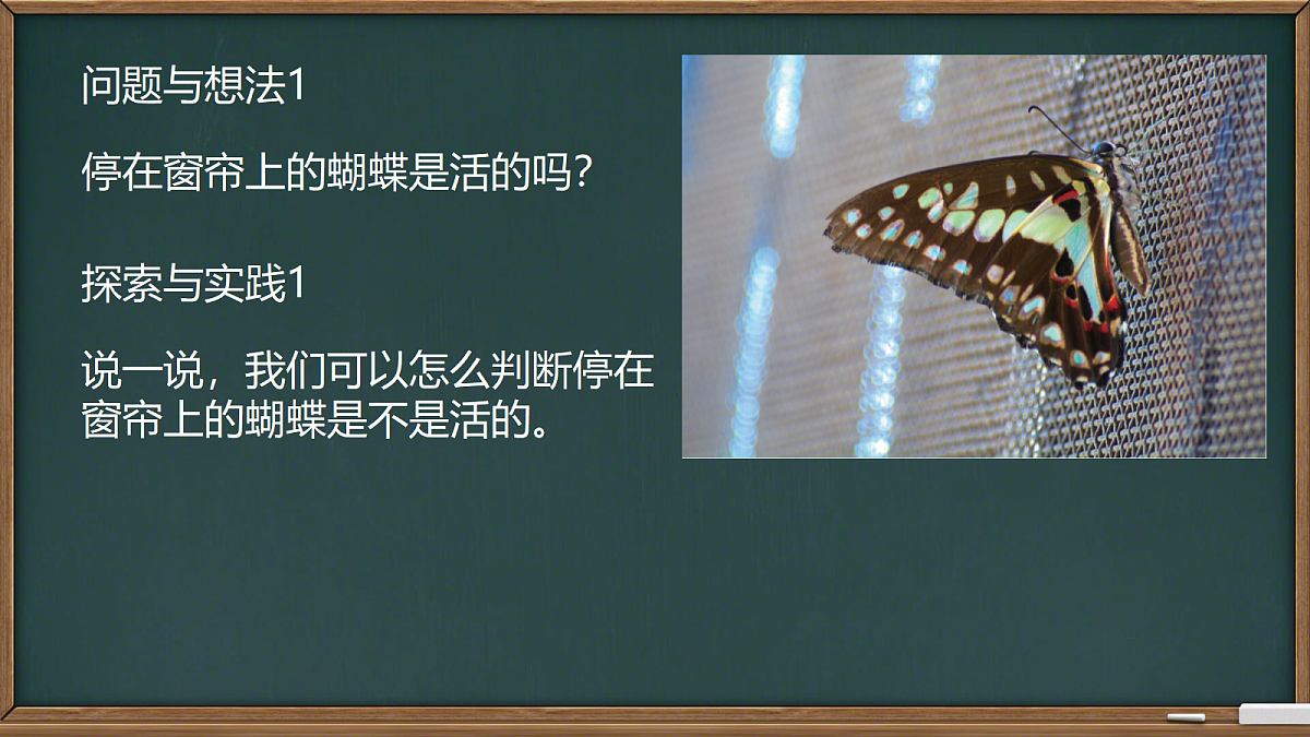 18327185第3页