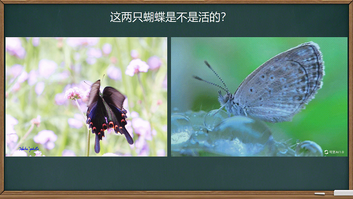 18327185第7页