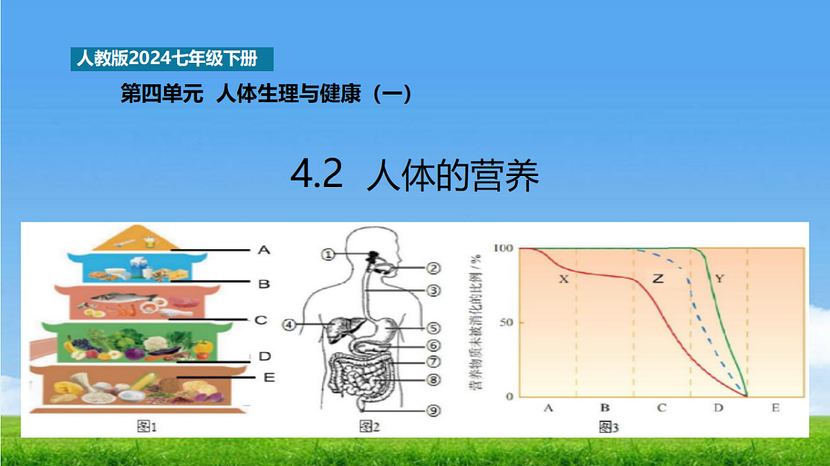 18328496第1页