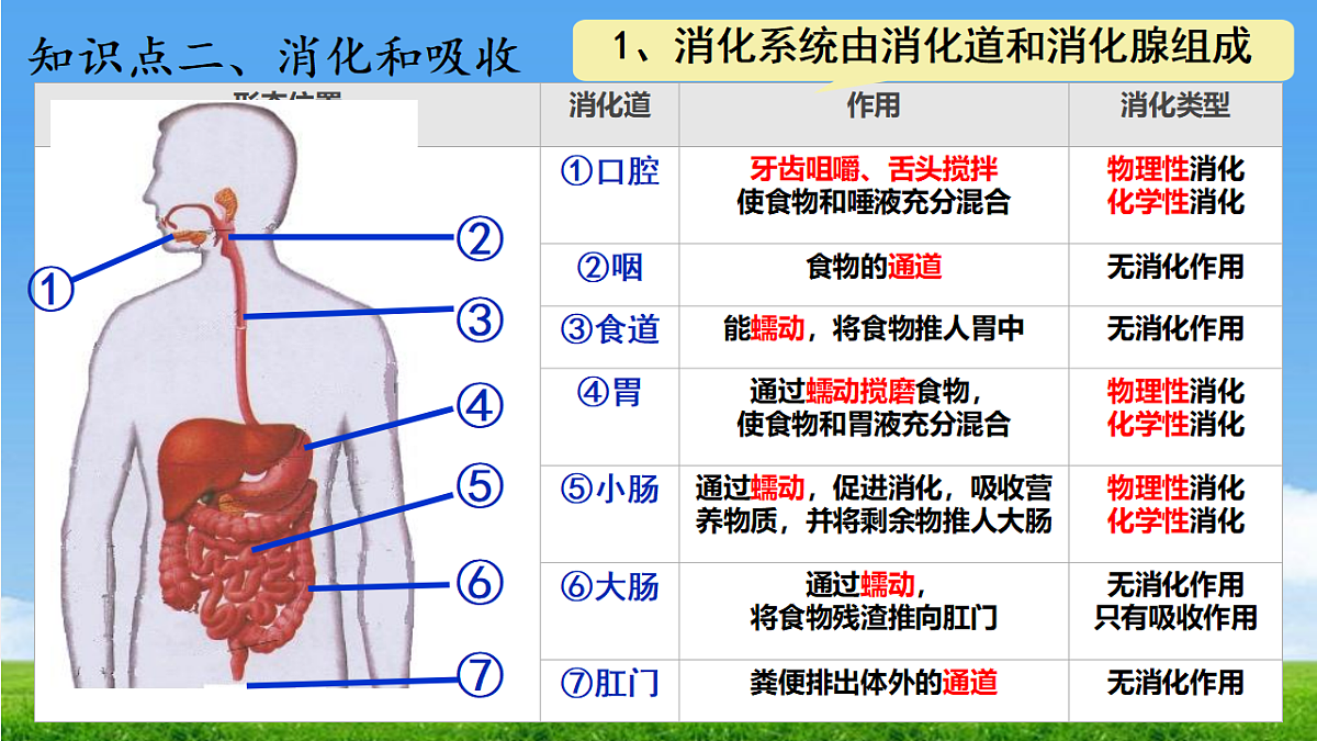 18328496第5页