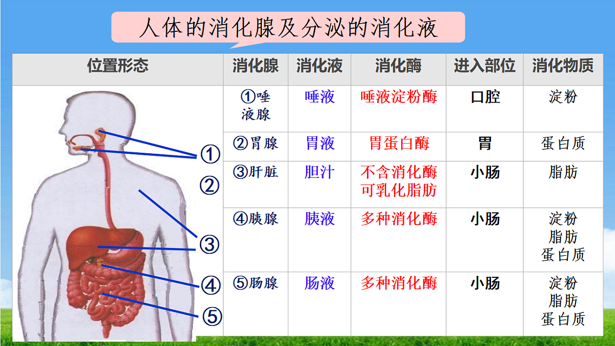 18328496第6页