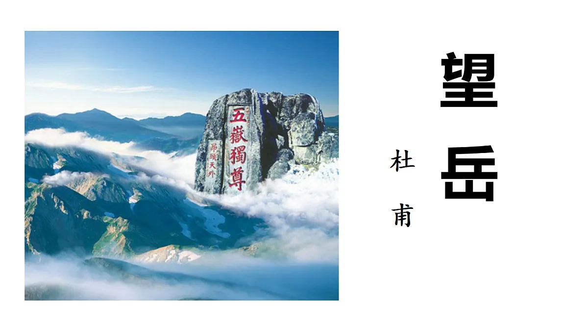 18329500第3页
