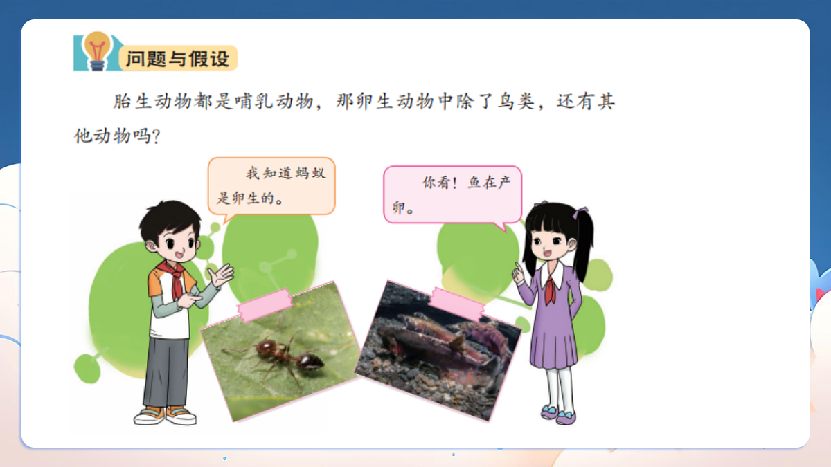 18329848第2页