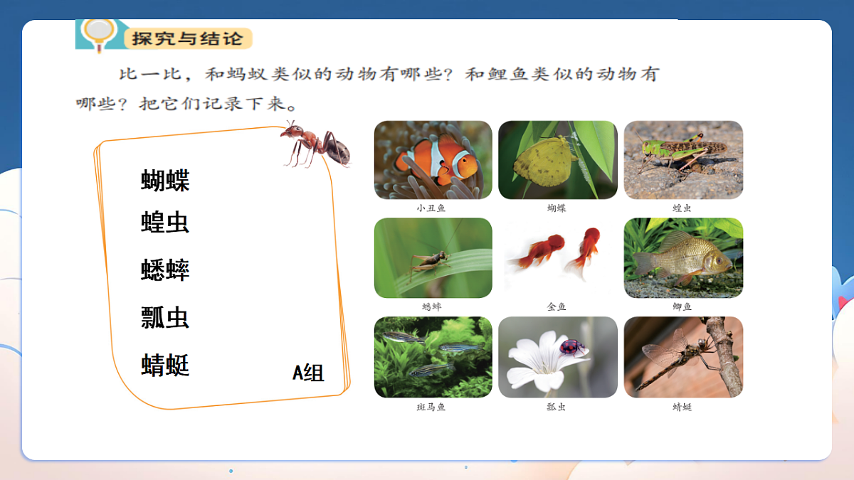 18329848第4页