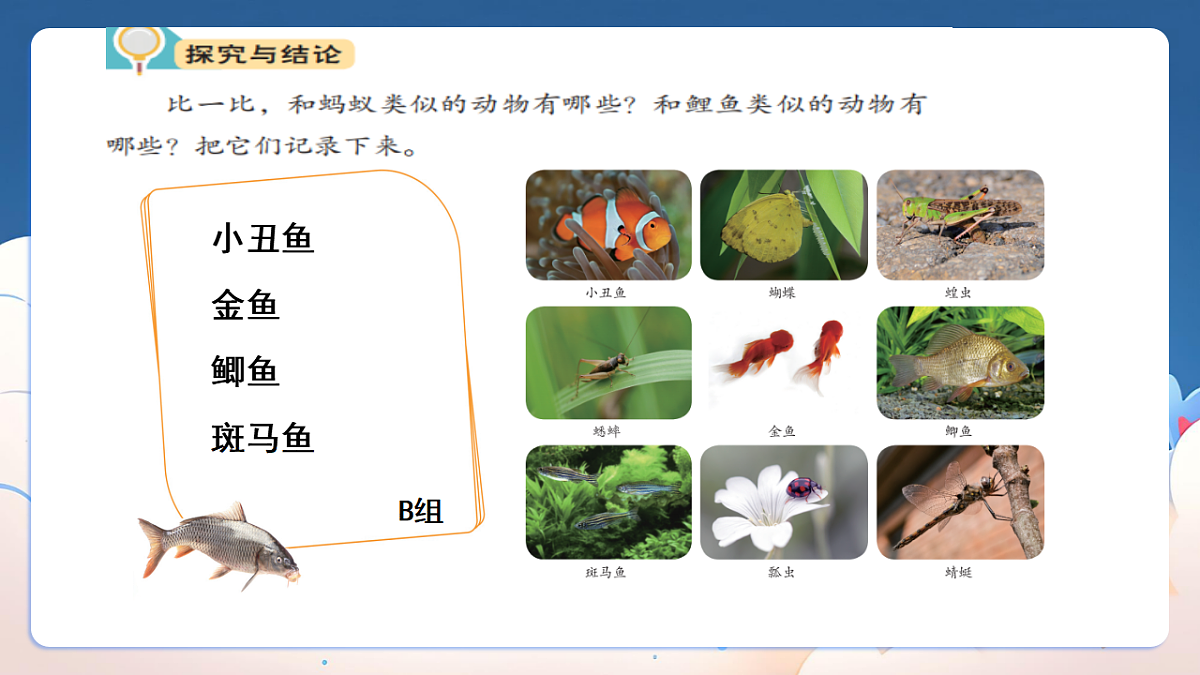 18329848第5页