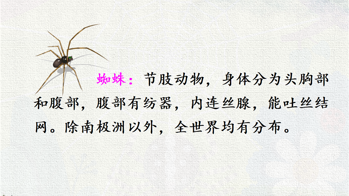 18331355第3页