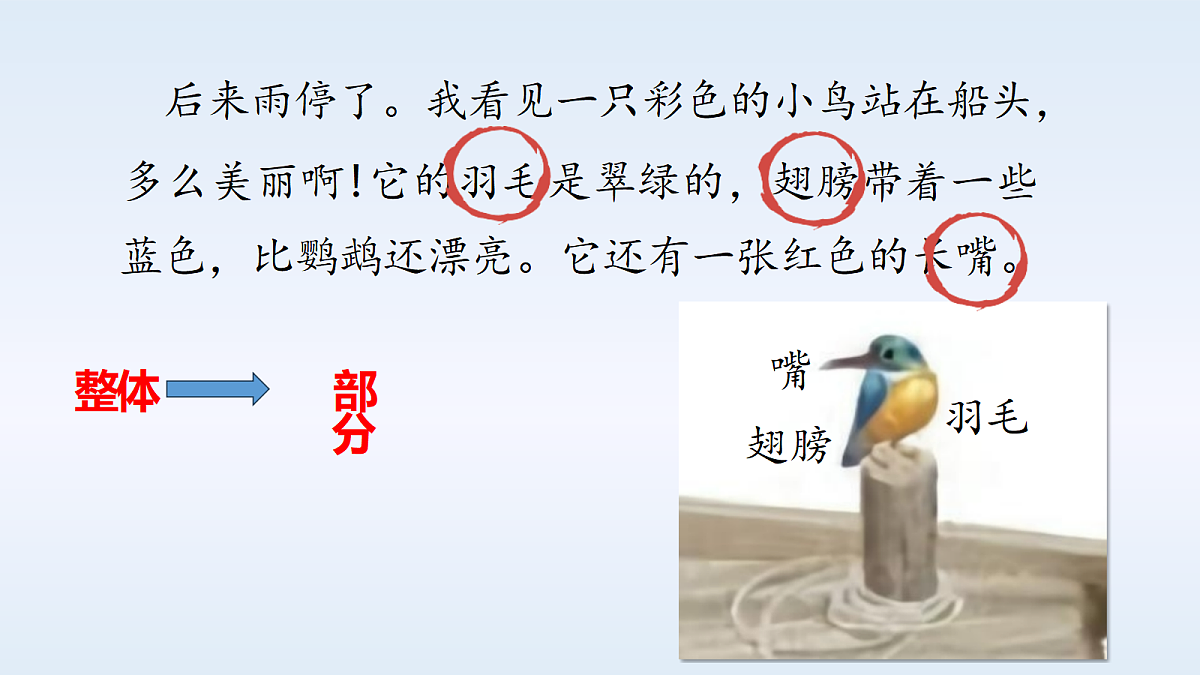 18331674第7页
