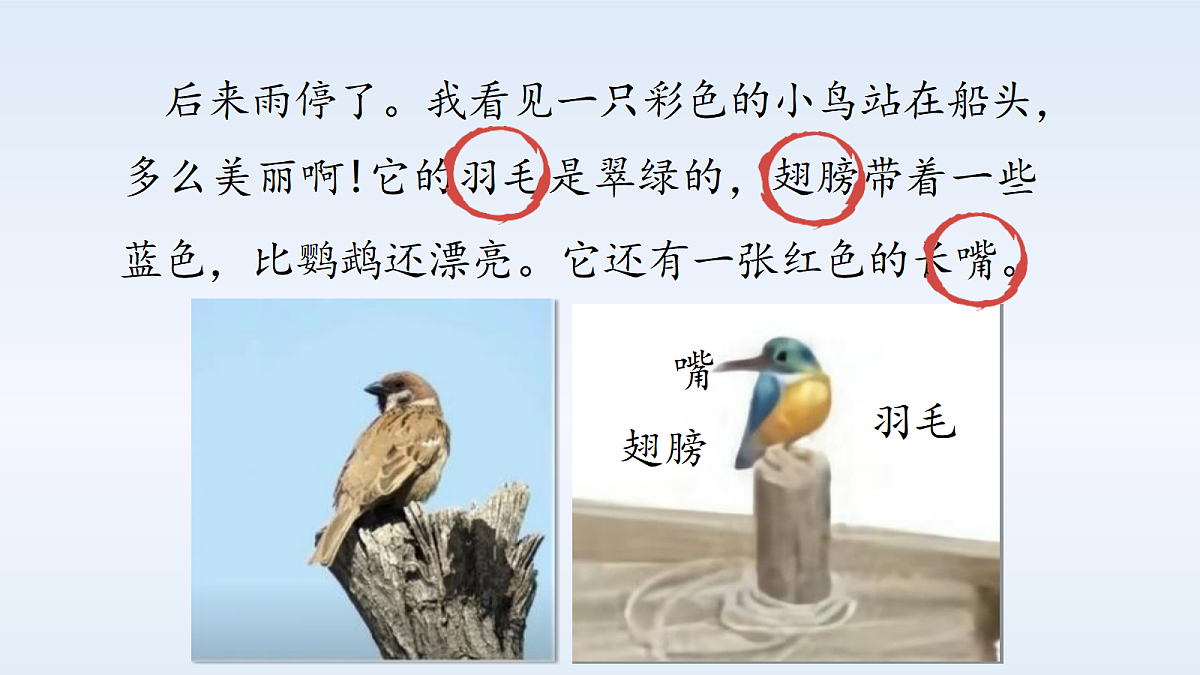 18331674第8页
