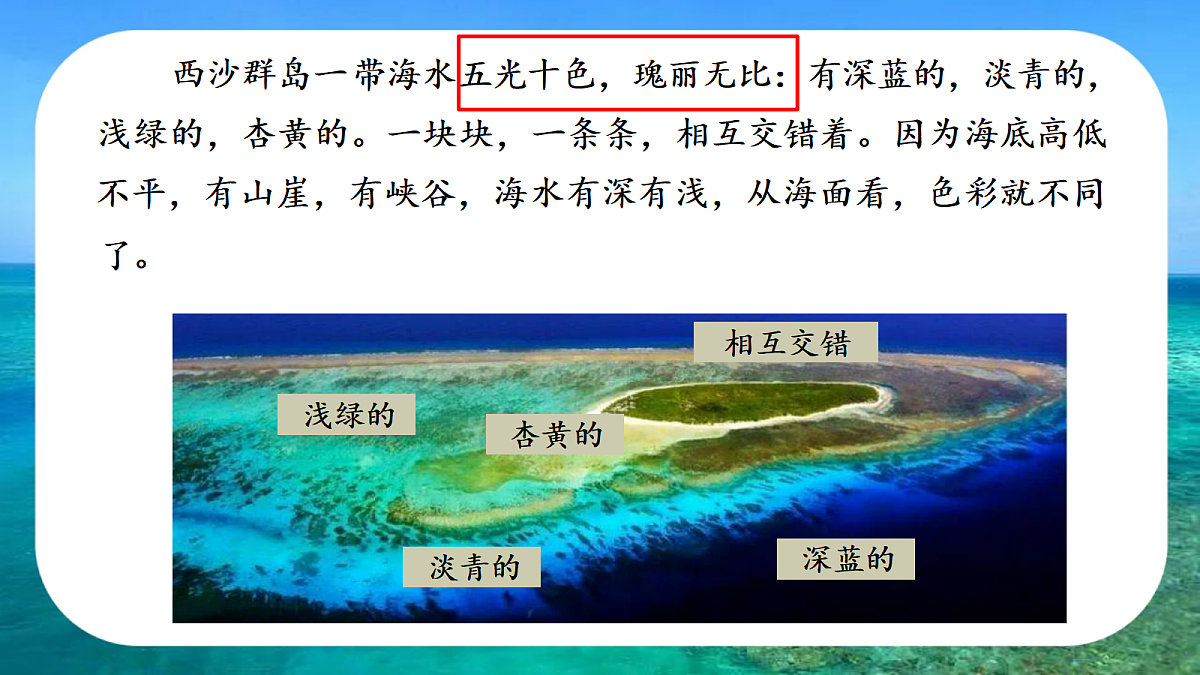 18331678第5页