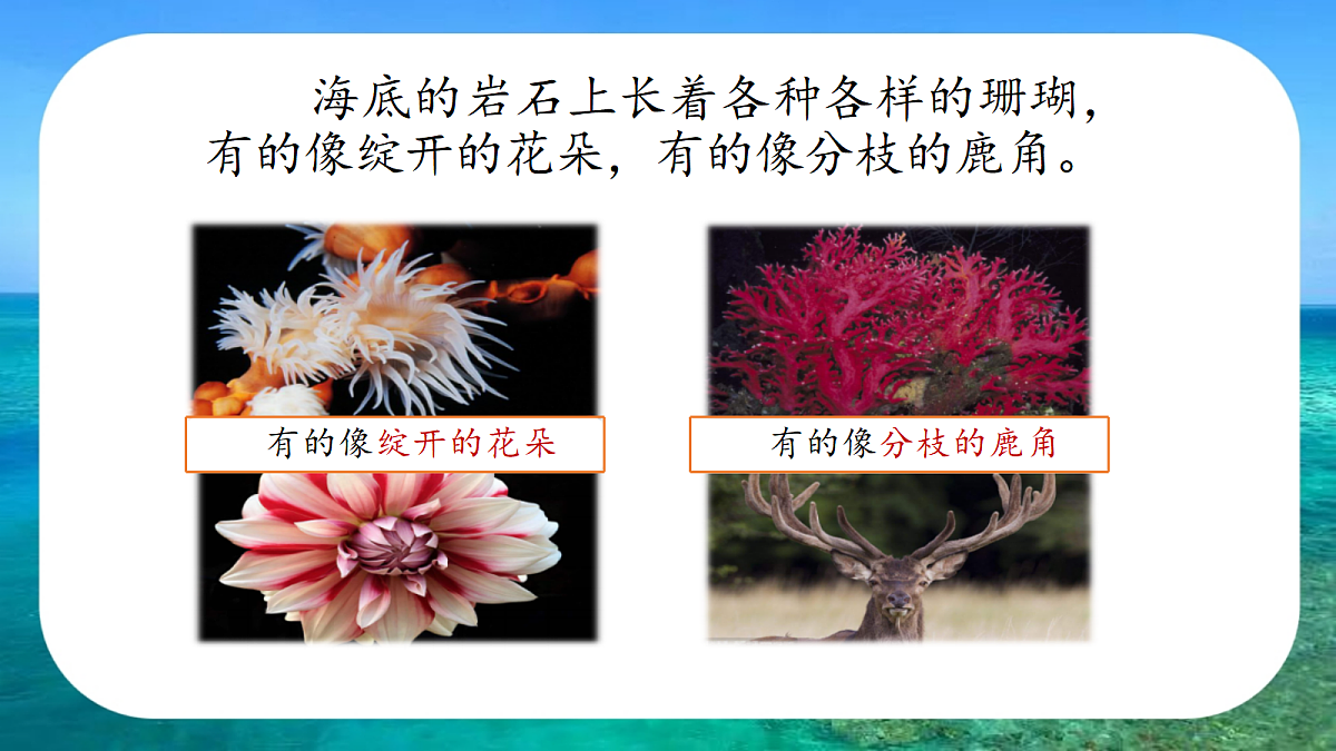 18331678第8页