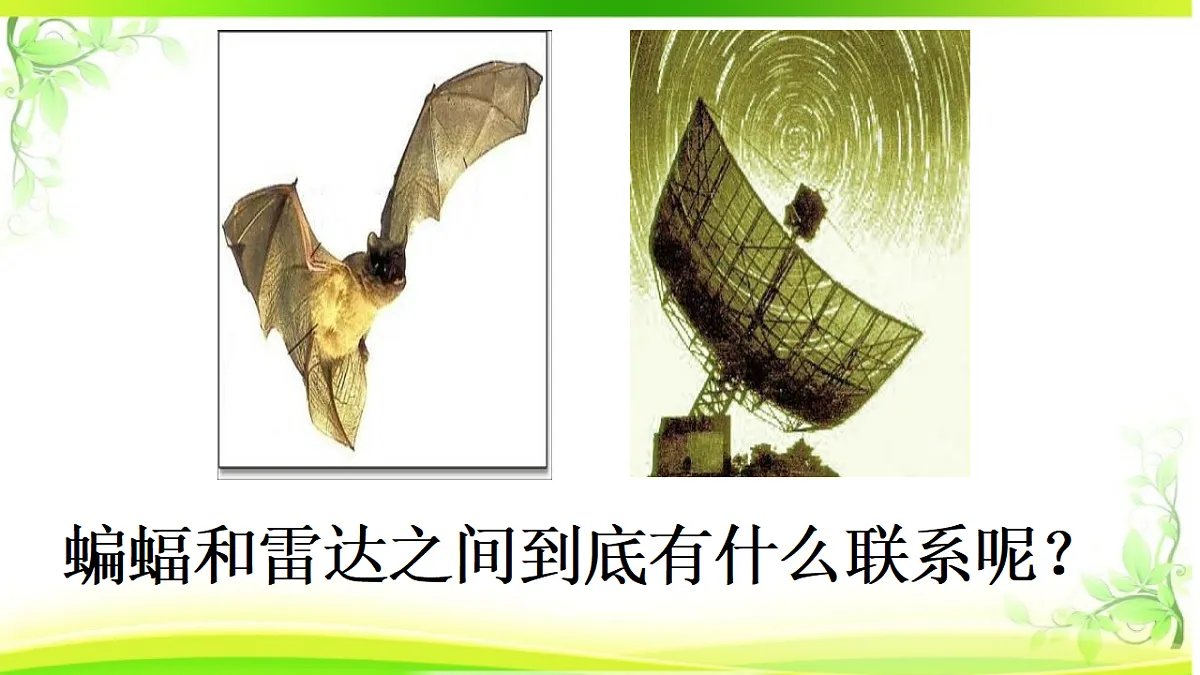 18331690第4页