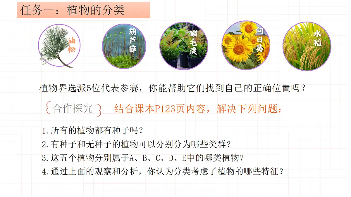 18331951第5页