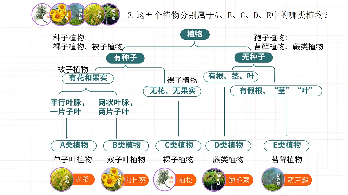 18331951第8页