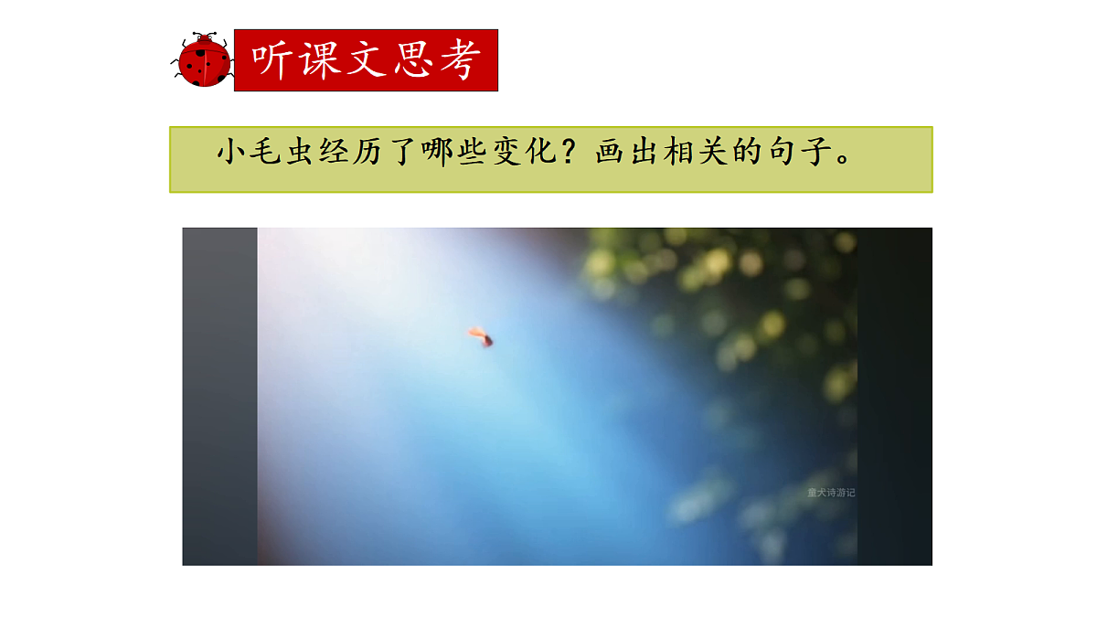 18332174第5页