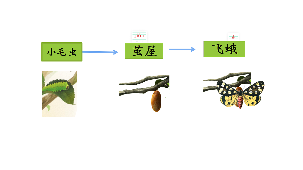 18332174第7页