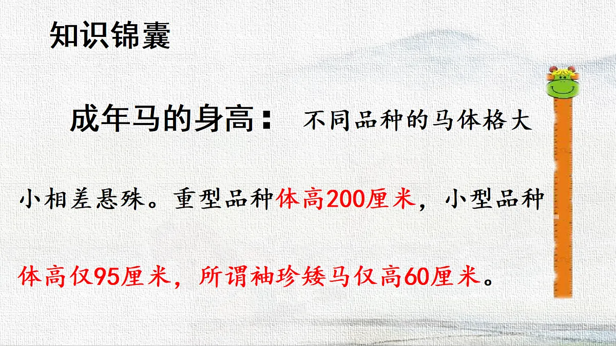 18333195第4页