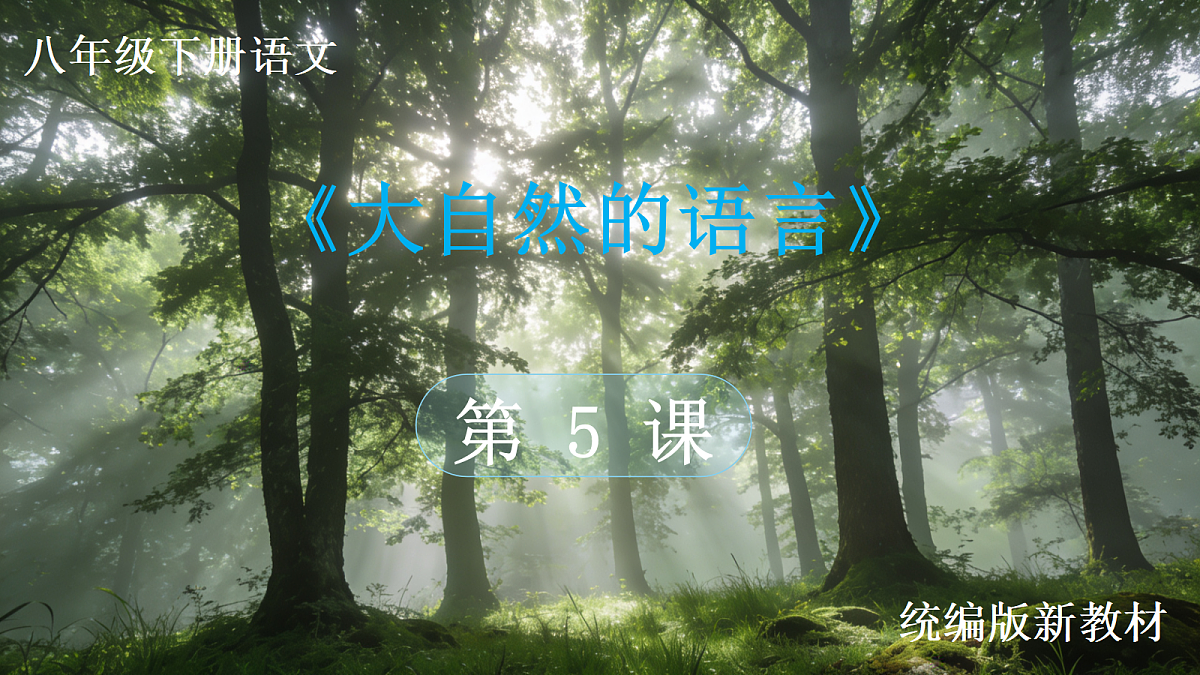 18333540第1页