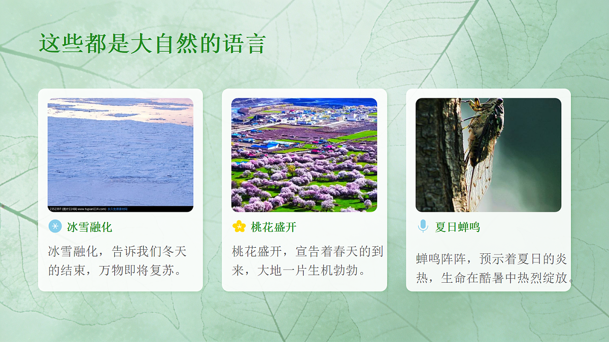 18333540第3页