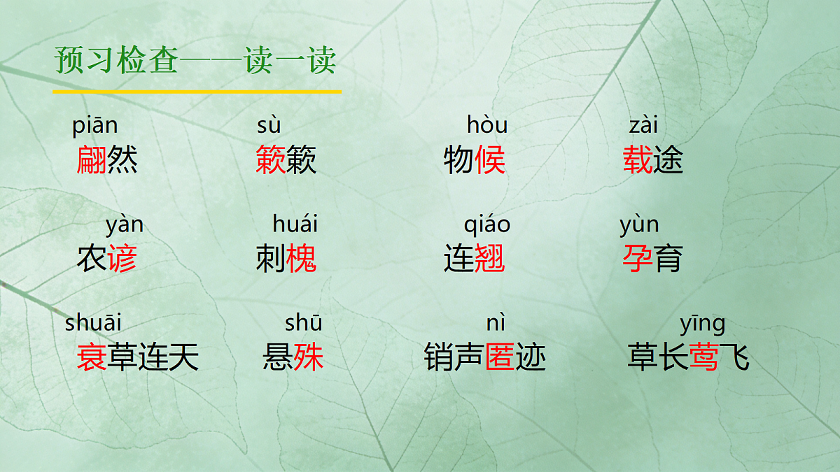 18333540第5页