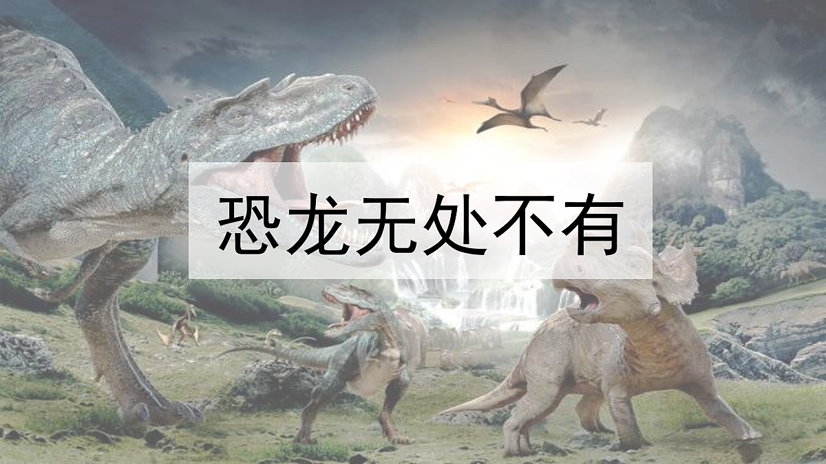 18333548第3页