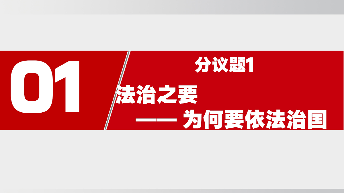 坚持全面依法治国第6页