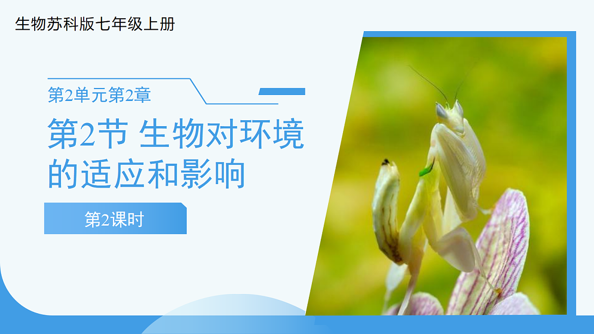 18335223第1页