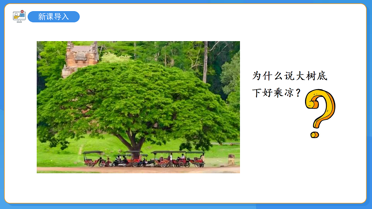 18335223第3页