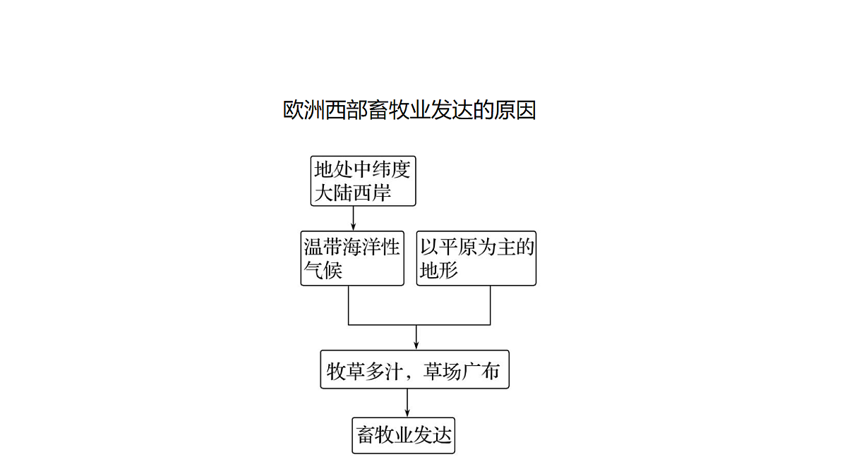 18335358第7页