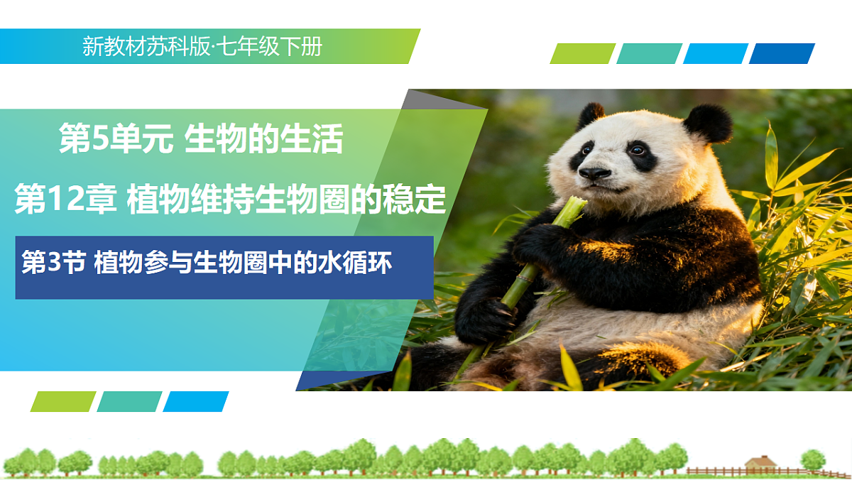 18335387第1页