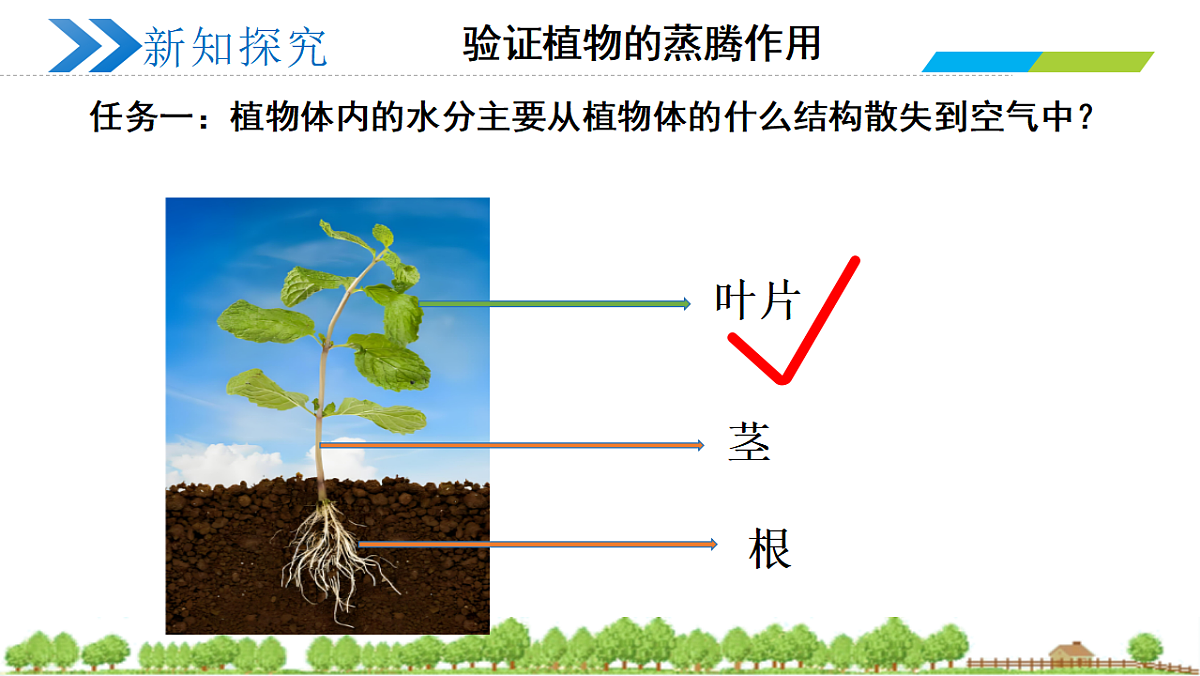 18335387第4页