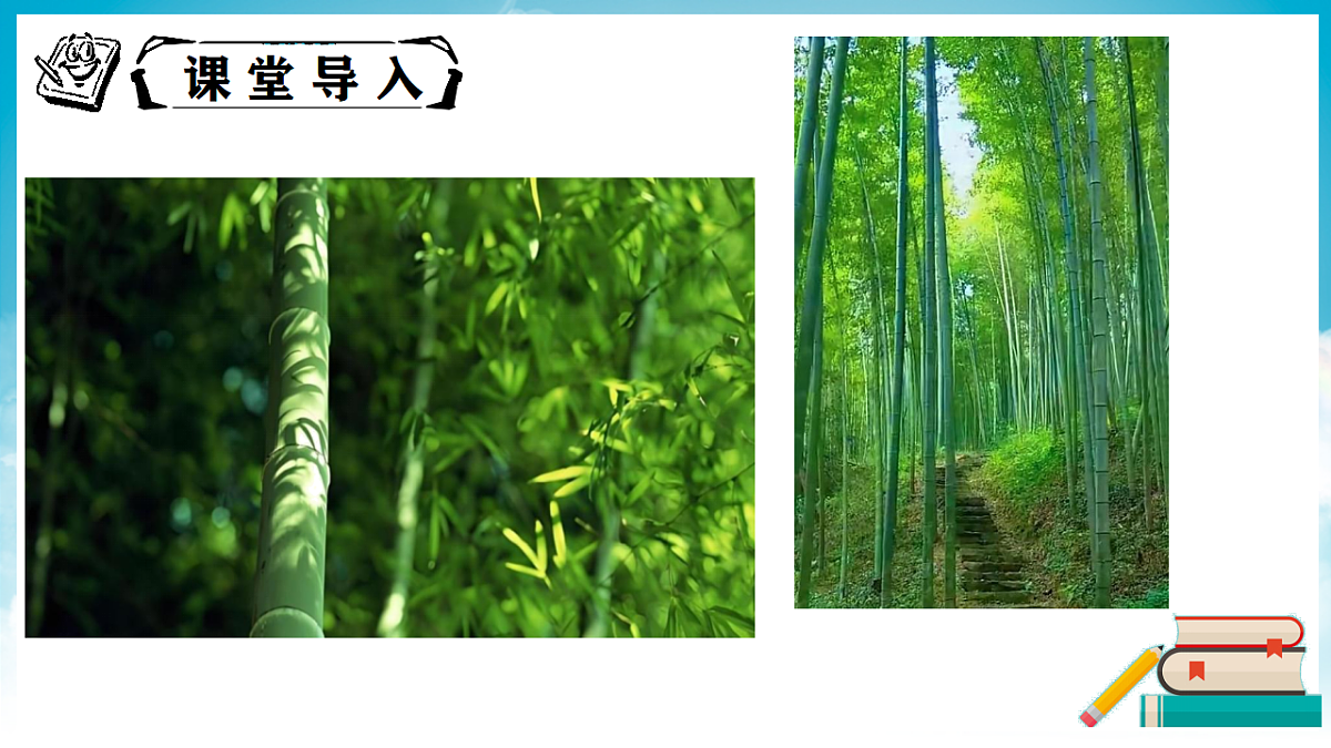 18337157第3页
