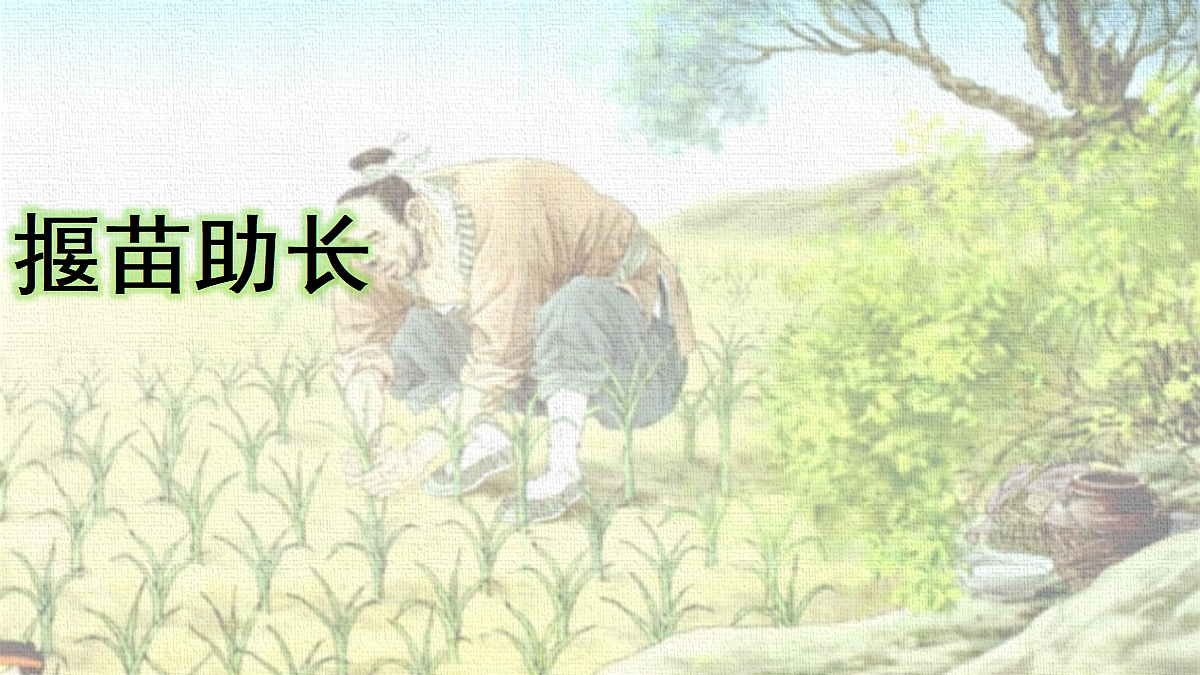18337249第1页