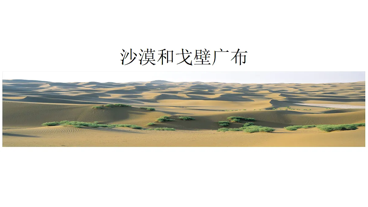18337725第7页