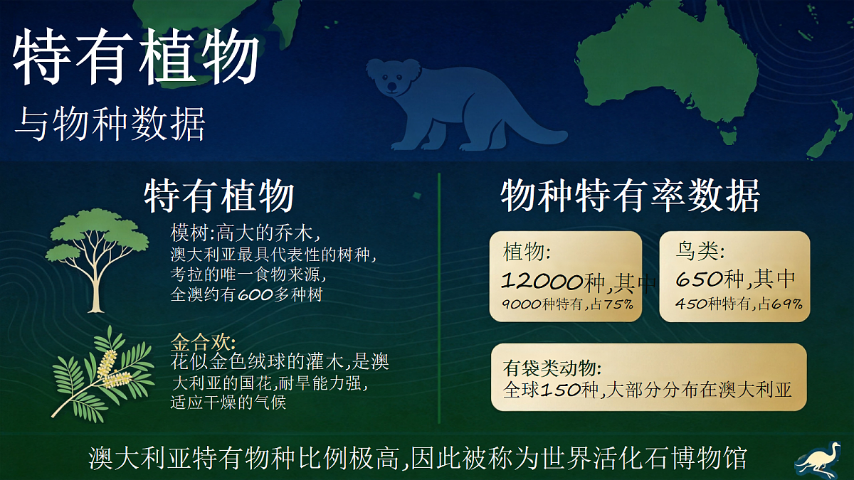 18337742第8页