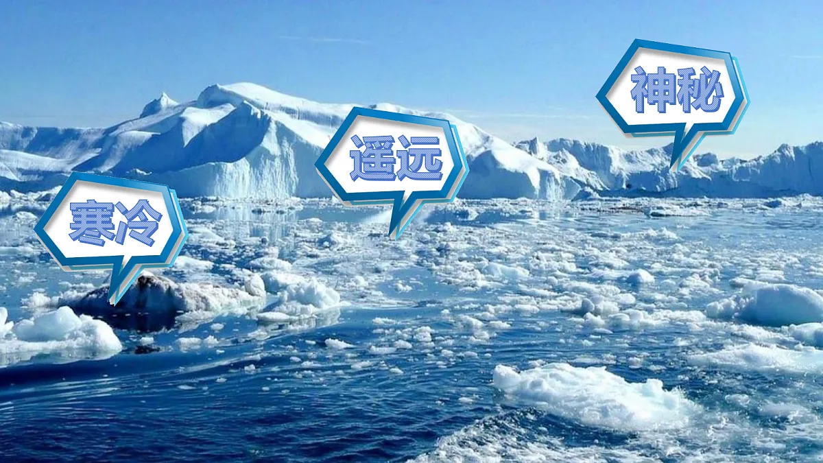 18337744第5页