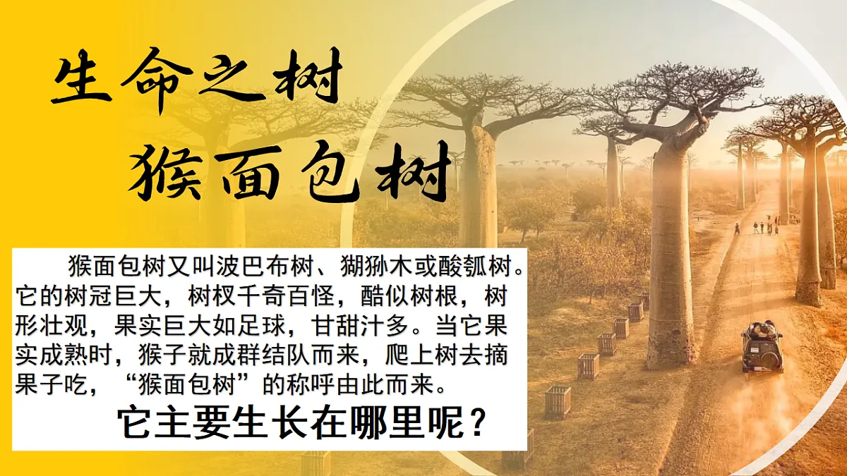 18337745第6页