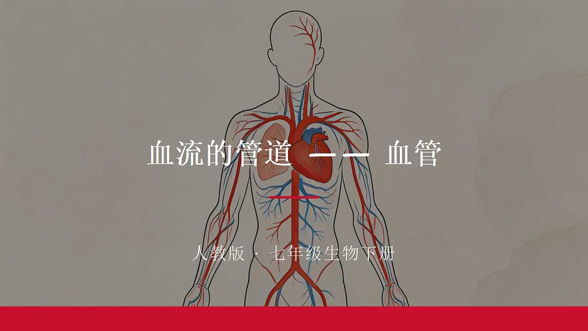 18337769第1页