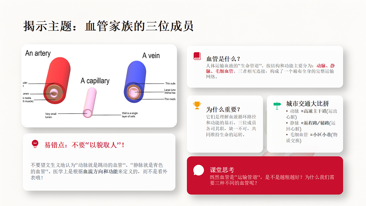 18337769第3页