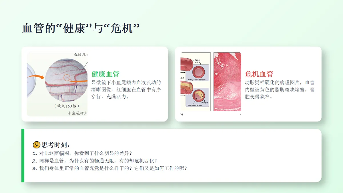 18337770第3页