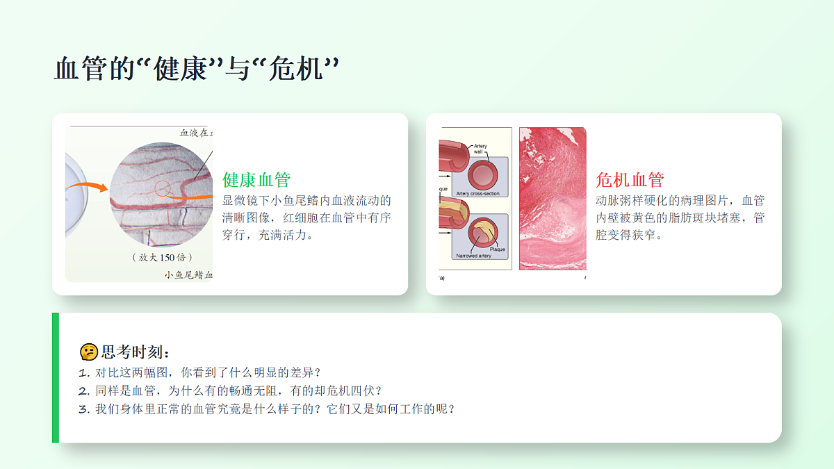 18337770第3页
