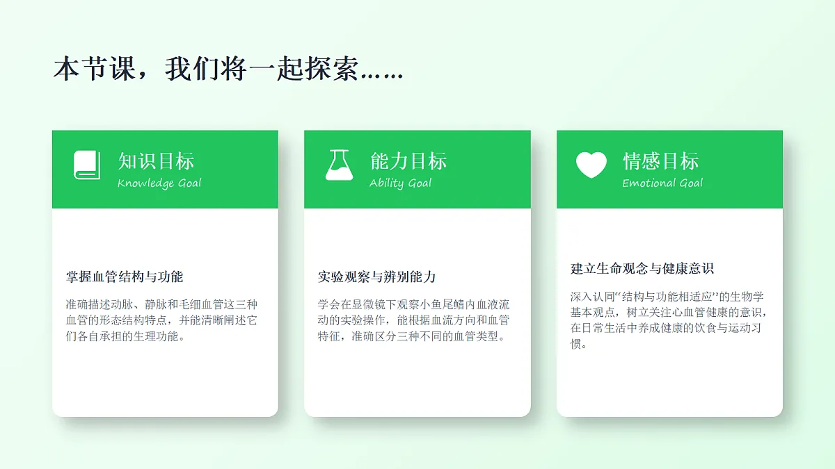 18337770第4页