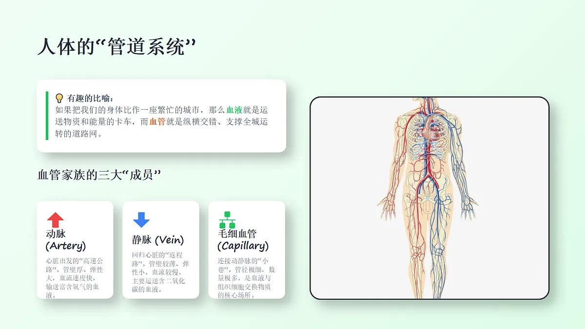 18337770第5页