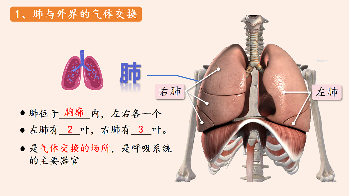 18337771第6页